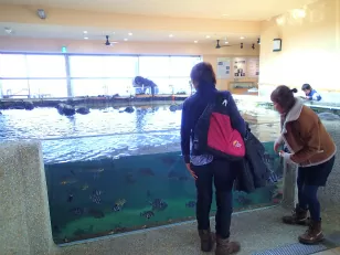 海のマルシェ水族館