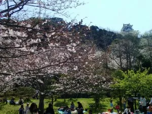 20150330-01
