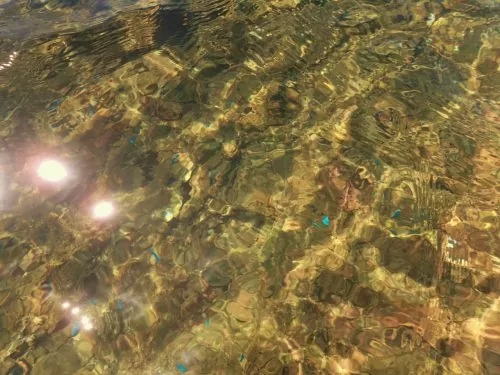 20180901-01
